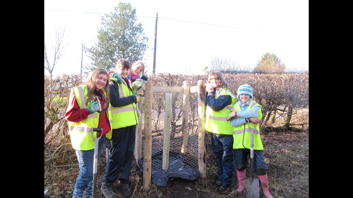 Lime Avenue project South Derbyshire District Council
